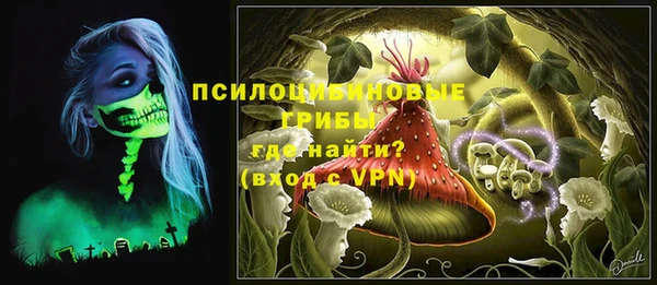 прущая мука Гусь-Хрустальный